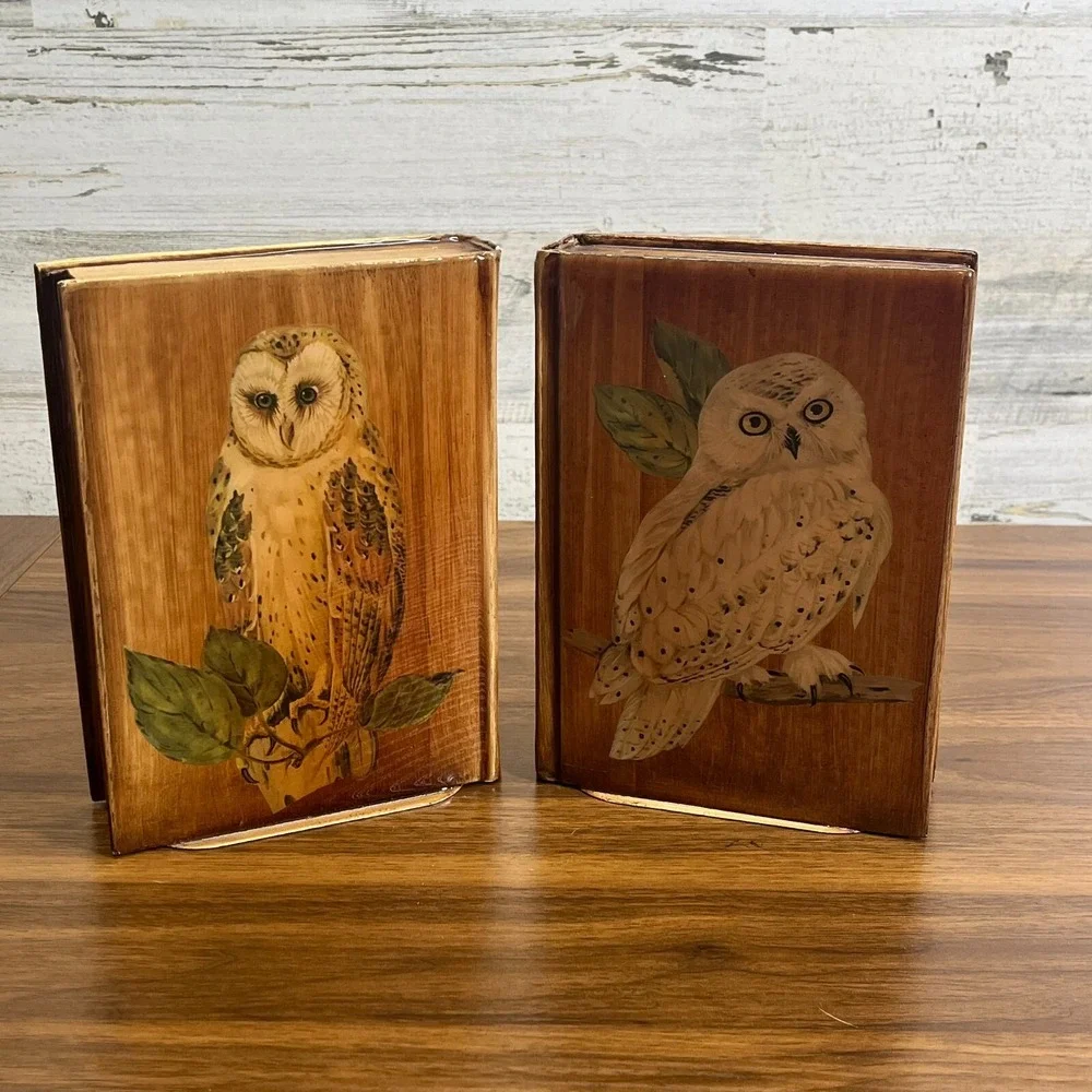 Vintage‎ snowy Owl Barn Owl Handmade Wooden Shellac Book Ends